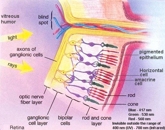 I10-85-retina.jpg?strip=all
