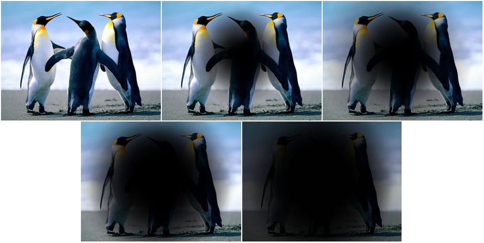 Macular Degeneration Vision - Goodrich Optical