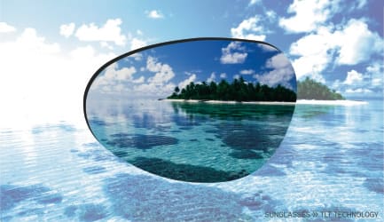 Polarized - Goodrich Optical