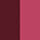 Chocolate Cosmos Popstar