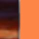 Mango Orange Shades