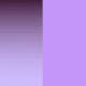 Shady Pale Violet