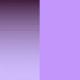 Shady Pale Violet